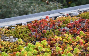 the cost of Skidbrooke green roof installation
