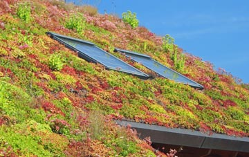 Skidbrooke living roof systems