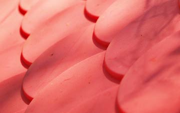Skidbrooke plastic roof costs